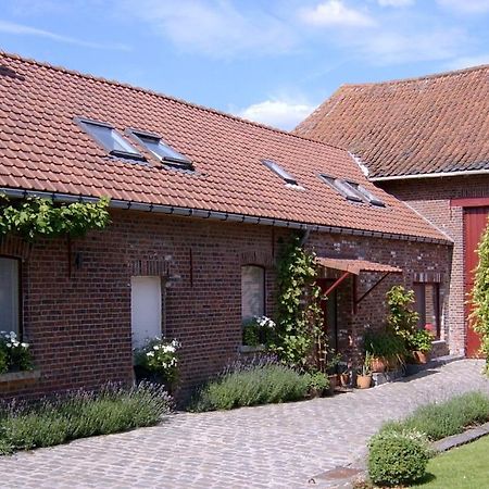 Denderwindeke B&B De Pepelinck المظهر الخارجي الصورة