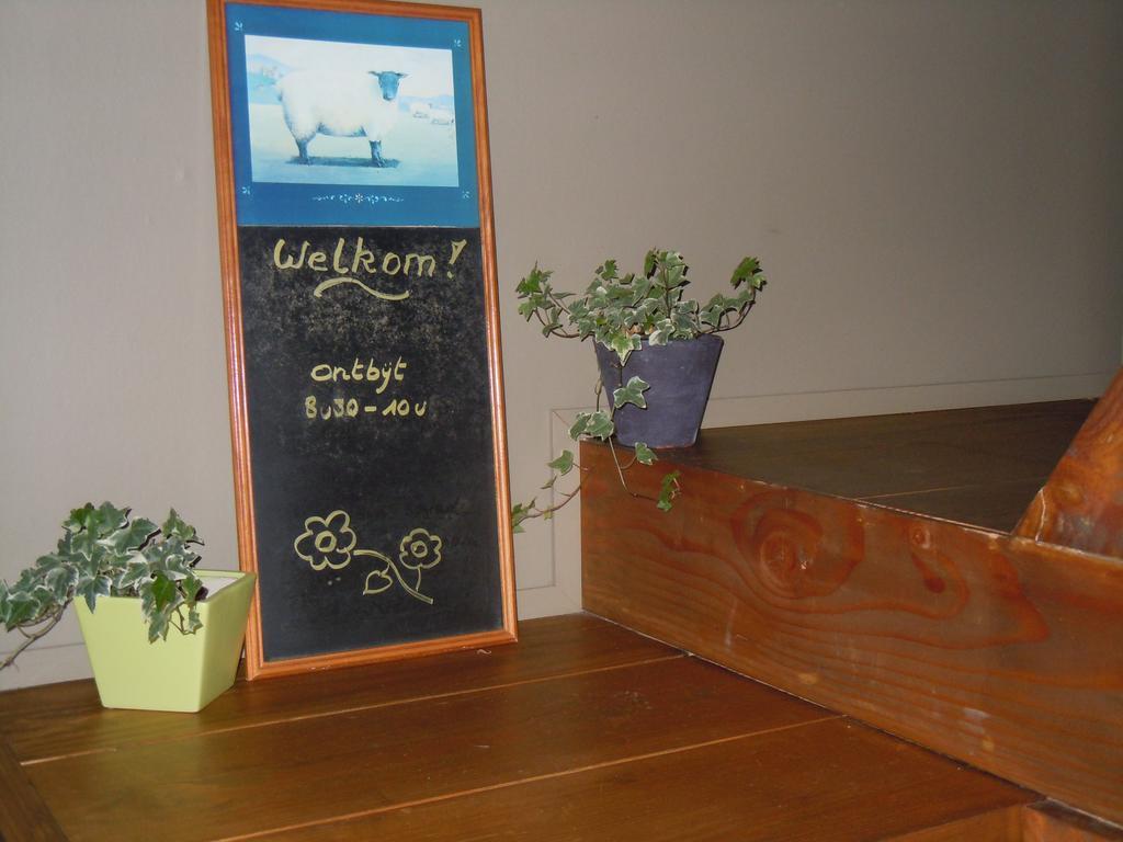 Denderwindeke B&B De Pepelinck المظهر الخارجي الصورة